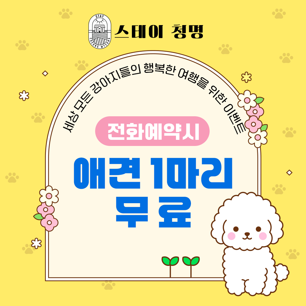 애견1마리  무료